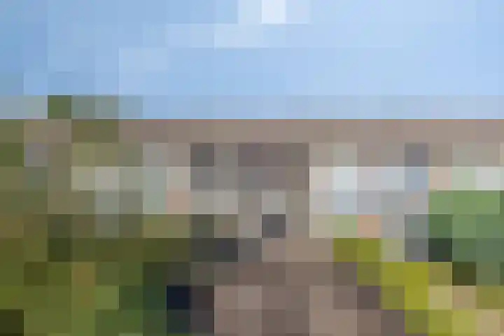 Laan van de Bork 718 Emmen thumbnail 39