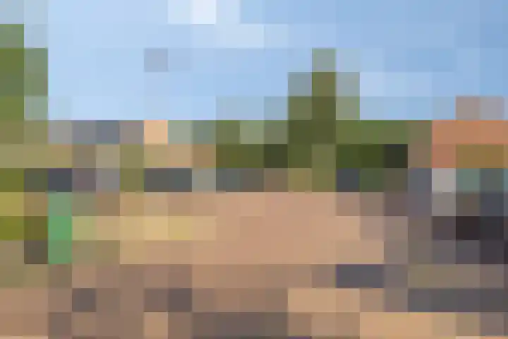 Laan van de Bork 718 Emmen thumbnail 43