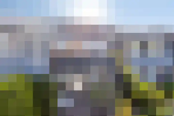 Laan van de Bork 718 Emmen thumbnail 8