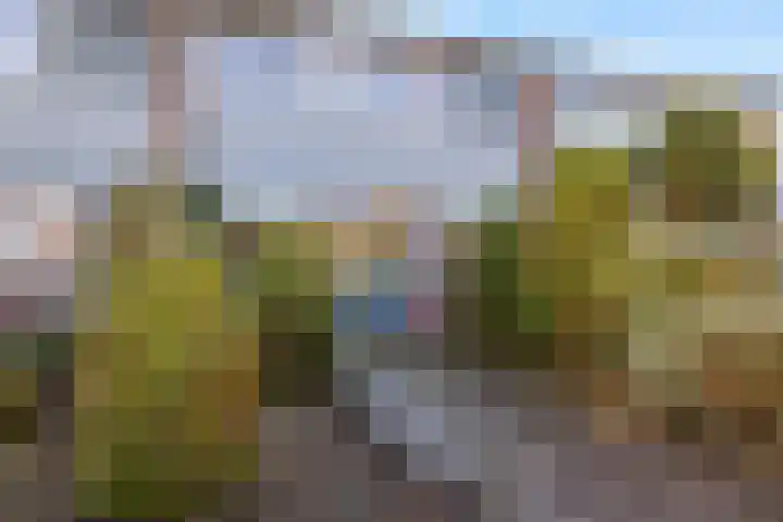 Laan van de Bork 720 in Emmen