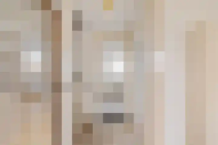 Laan van de Bork 720 Emmen thumbnail 10