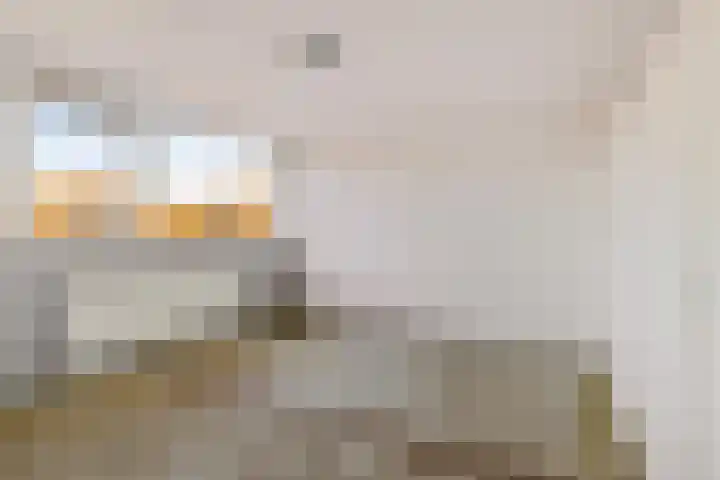 Laan van de Bork 720 Emmen thumbnail 12