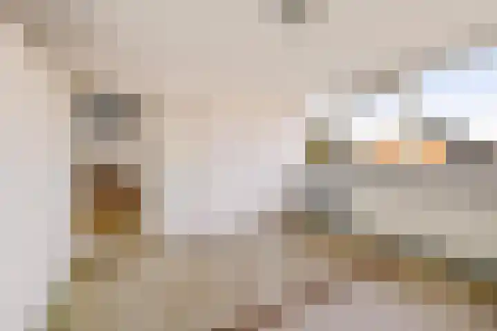 Laan van de Bork 720 Emmen thumbnail 13