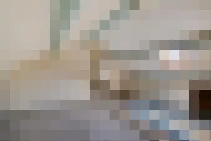 Laan van de Bork 720 Emmen thumbnail 17