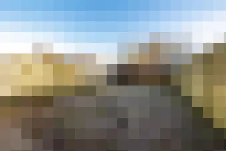 Laan van de Bork 720 Emmen thumbnail 18