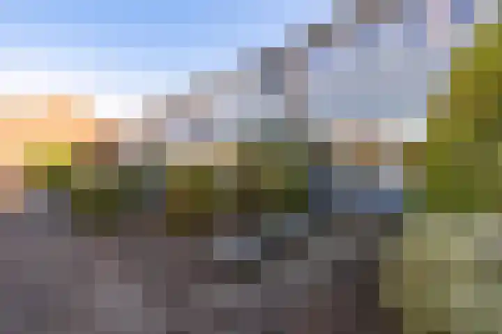 Laan van de Bork 720 Emmen foto 2