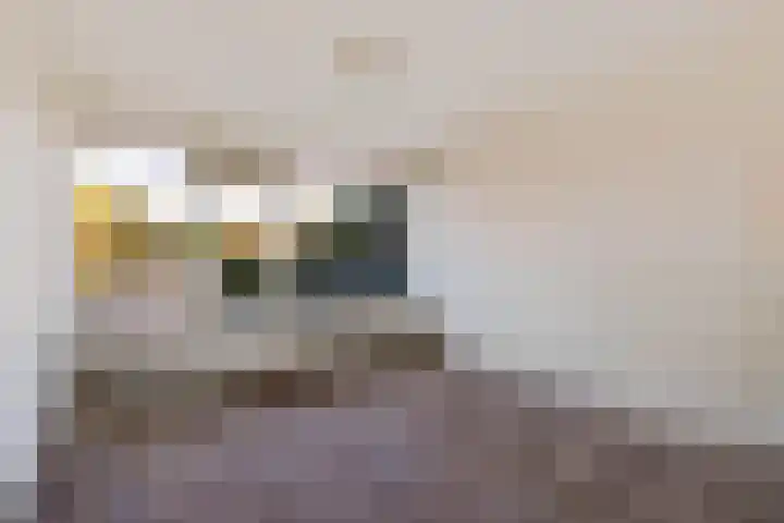 Laan van de Bork 720 Emmen thumbnail 4