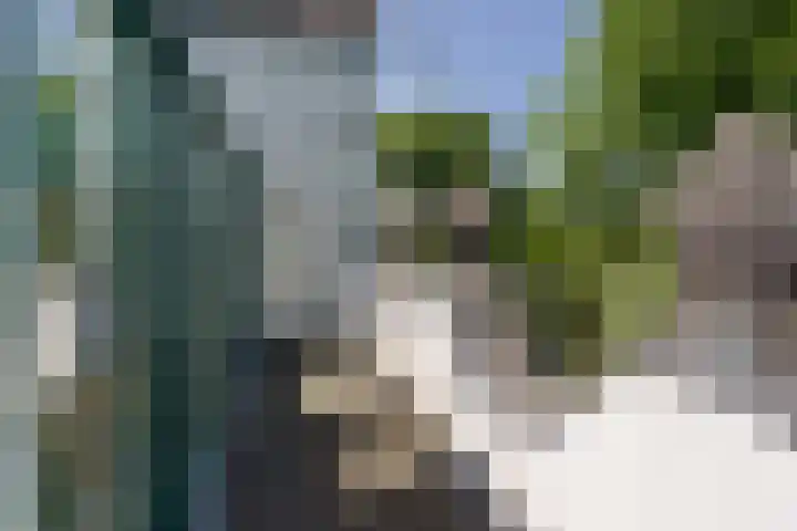Laan van de Bork 720 Emmen thumbnail 6