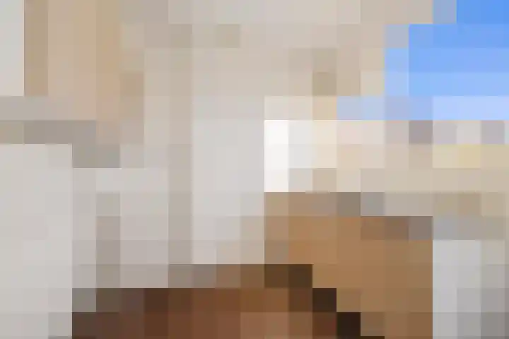 Laan van de Bork 720 Emmen thumbnail 7