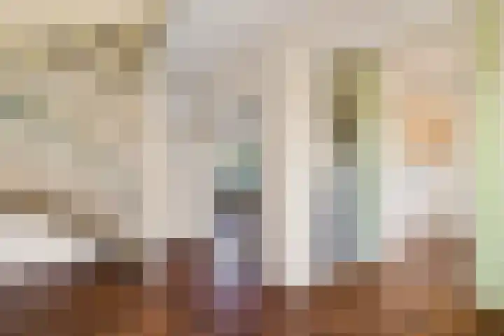 Laan van de Bork 720 Emmen thumbnail 9
