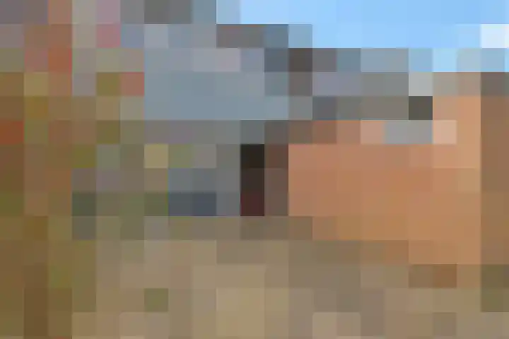 Laan van de Bork 770 in Emmen