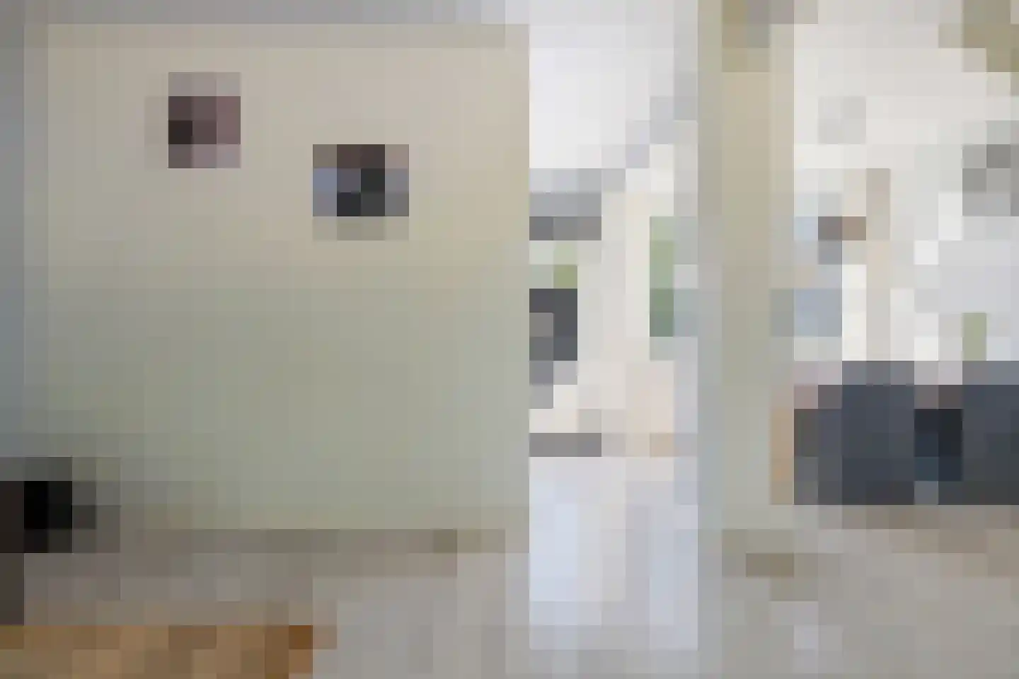 Laan van de Bork 830 Emmen thumbnail 16