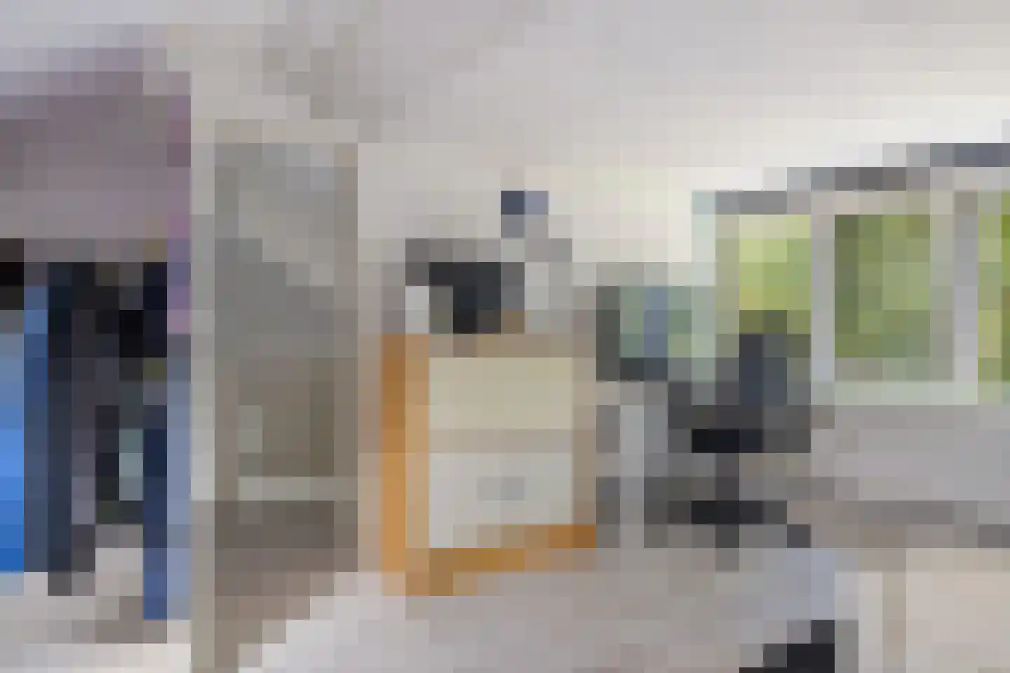 Laan van de Bork 830 Emmen thumbnail 33