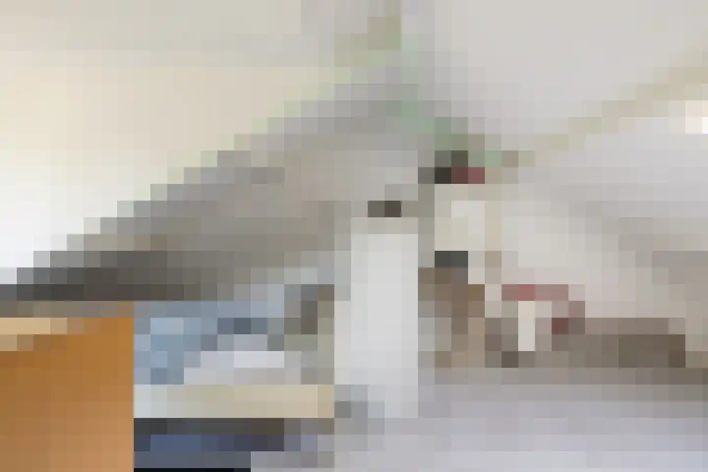 Laan van de Bork 830 Emmen thumbnail 34