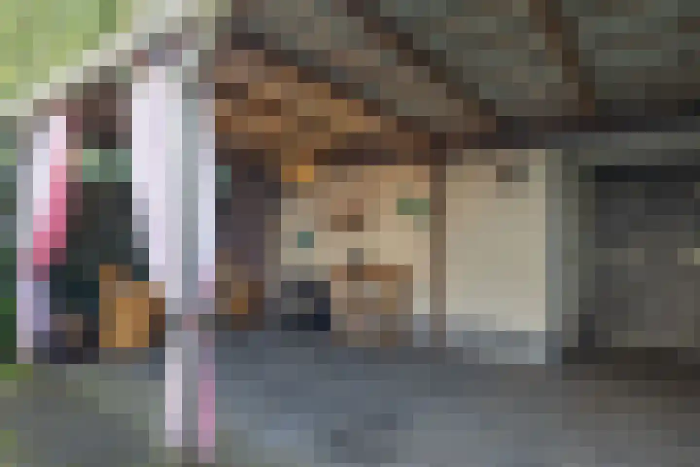 Laan van de Bork 830 Emmen thumbnail 38