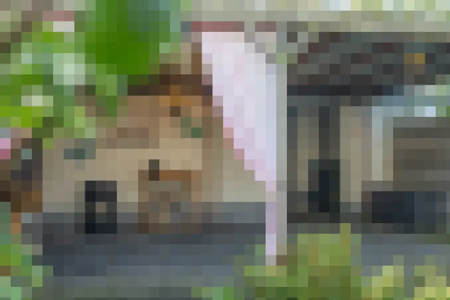 Laan van de Bork 830 Emmen thumbnail 39