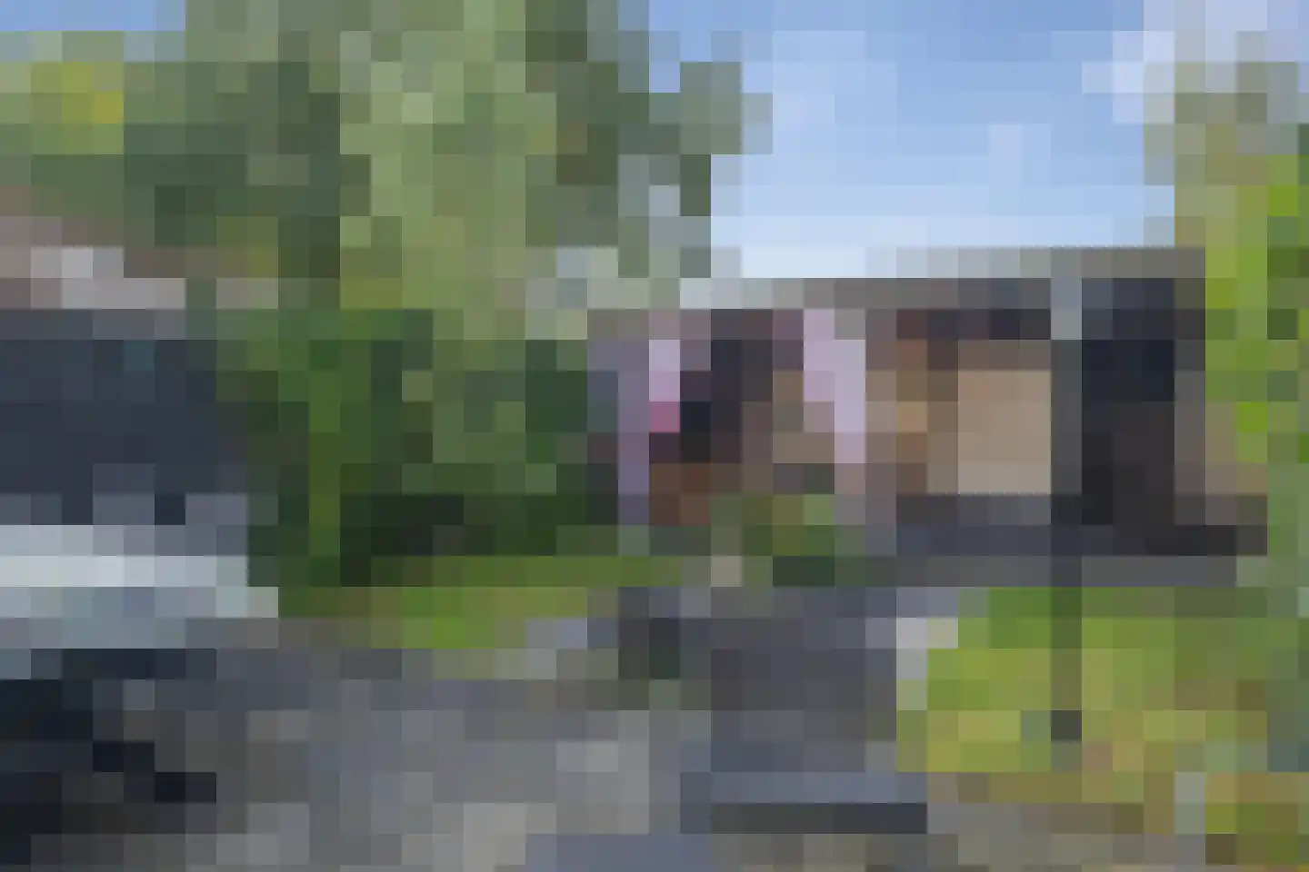 Laan van de Bork 830 Emmen thumbnail 4
