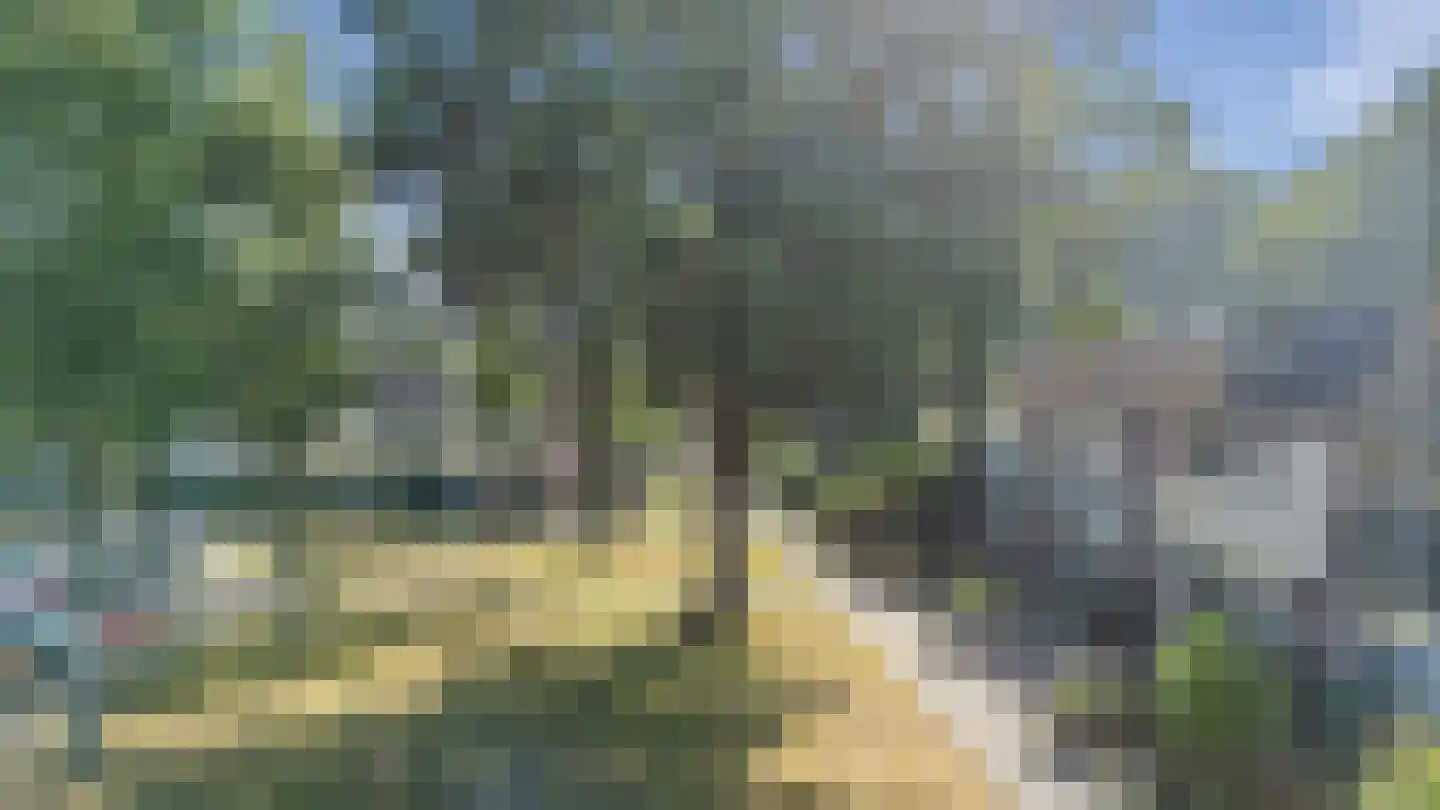 Laan van de Bork 830 Emmen thumbnail 43