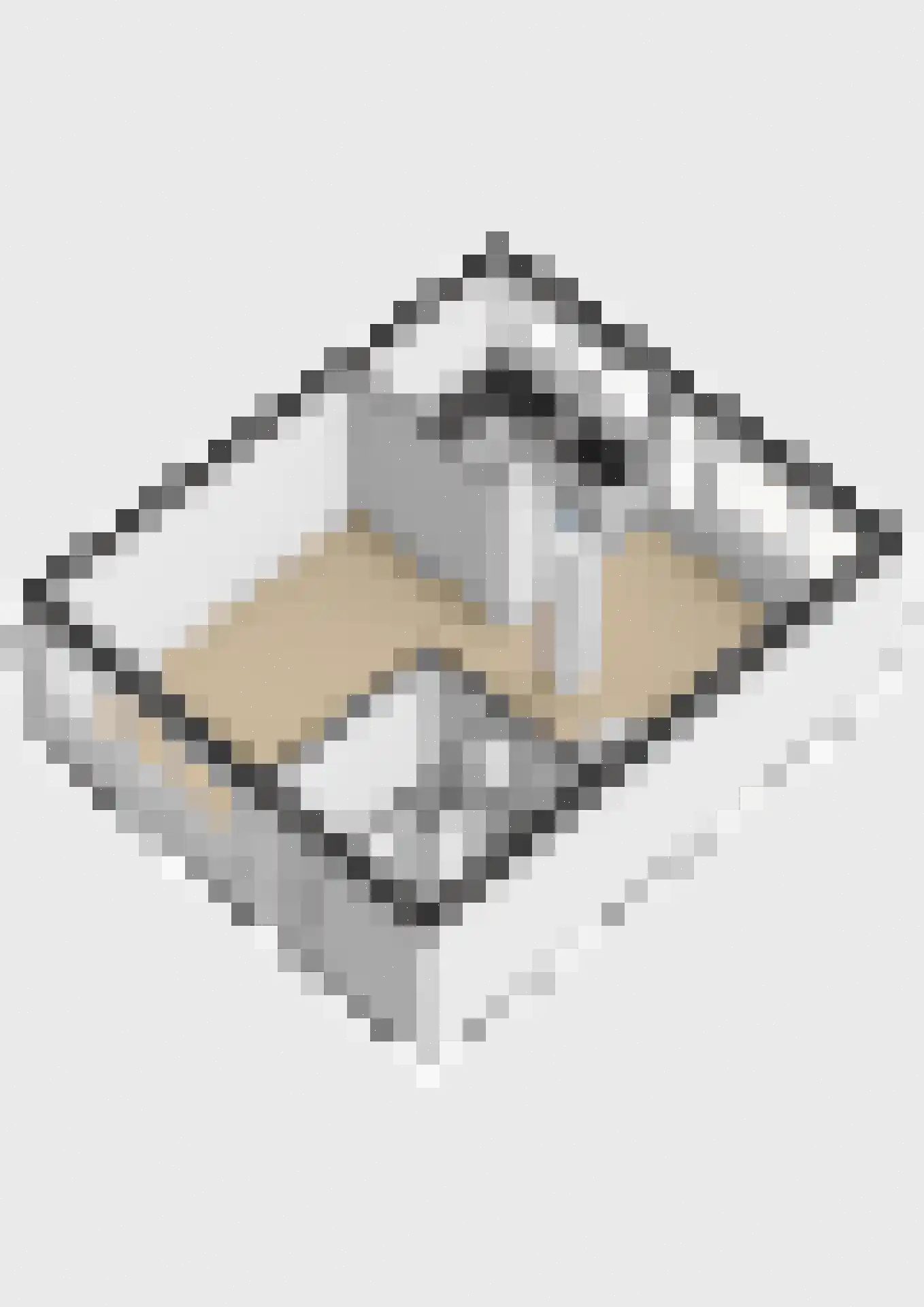 Laan van de Bork 830 Emmen thumbnail 47