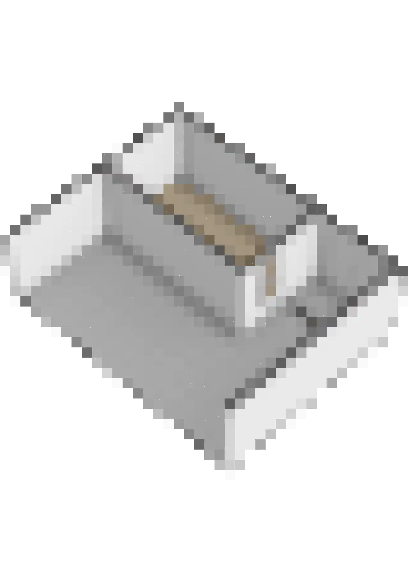 Laan van de Bork 830 Emmen thumbnail 53