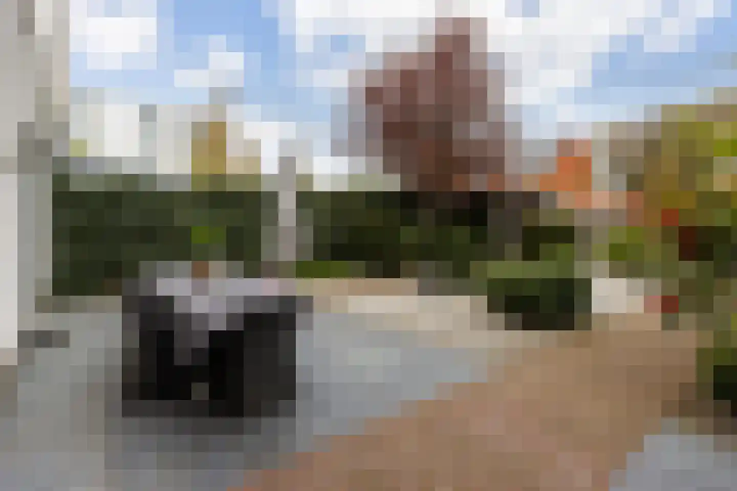 Laan van de Charleston 13 Apeldoorn thumbnail 17