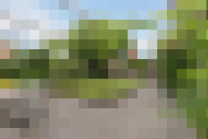 Laan van de Charleston 23 Apeldoorn thumbnail 13