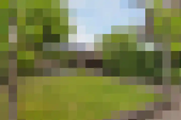 Laan van de Charleston 23 Apeldoorn thumbnail 14