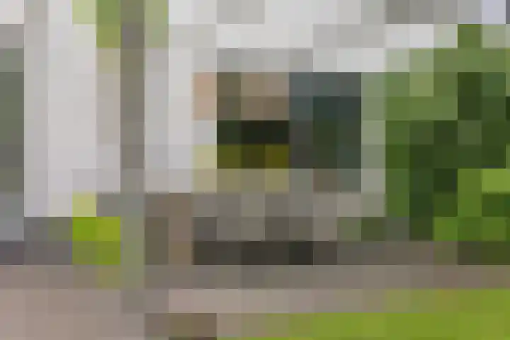 Laan van de Charleston 23 Apeldoorn thumbnail 15