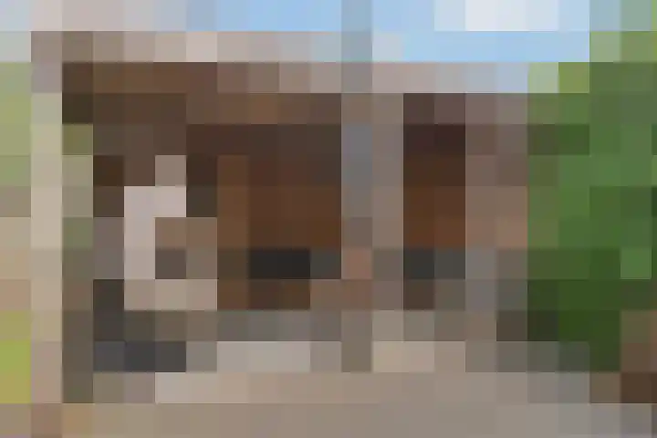 Laan van de Charleston 23 Apeldoorn thumbnail 17