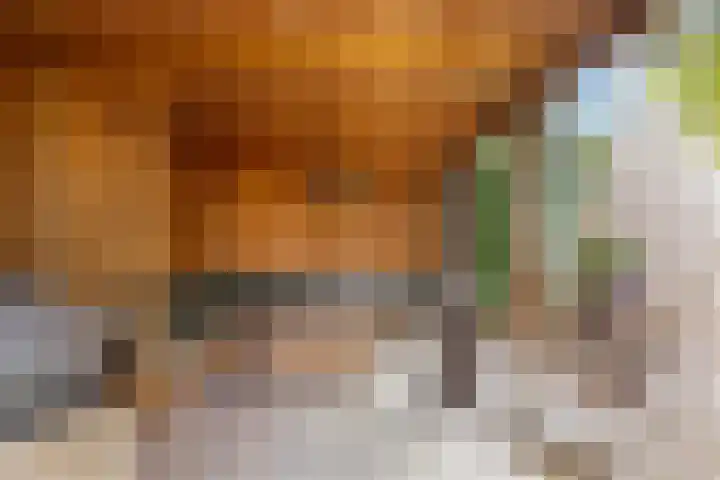 Laan van de Charleston 23 Apeldoorn thumbnail 18