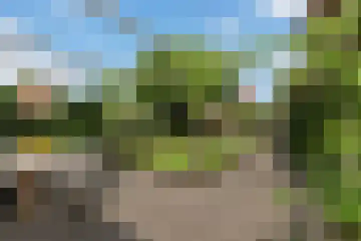 Laan van de Charleston 23 Apeldoorn thumbnail 20