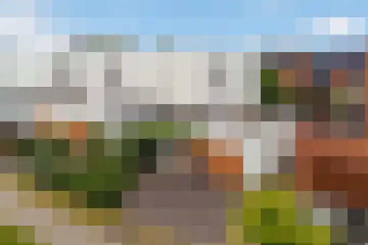 Laan van de Charleston 23 Apeldoorn thumbnail 37