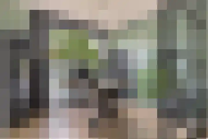 Laan van de Charleston 23 Apeldoorn thumbnail 6
