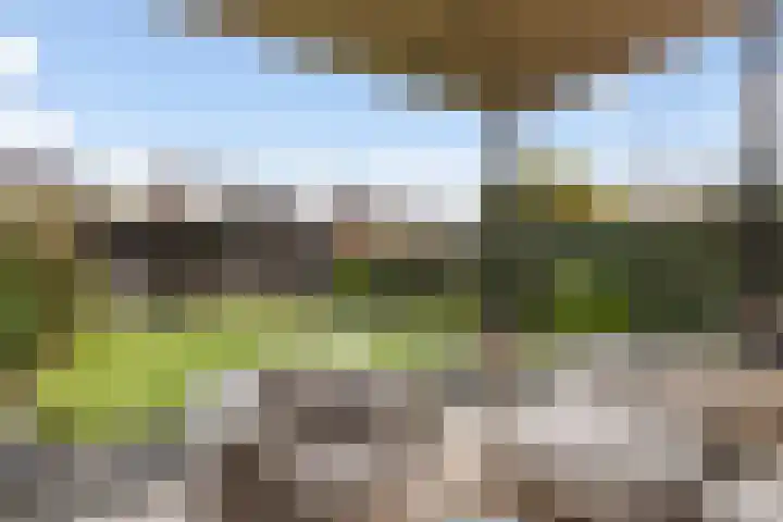 Laan van de Charleston 51 Apeldoorn thumbnail 4
