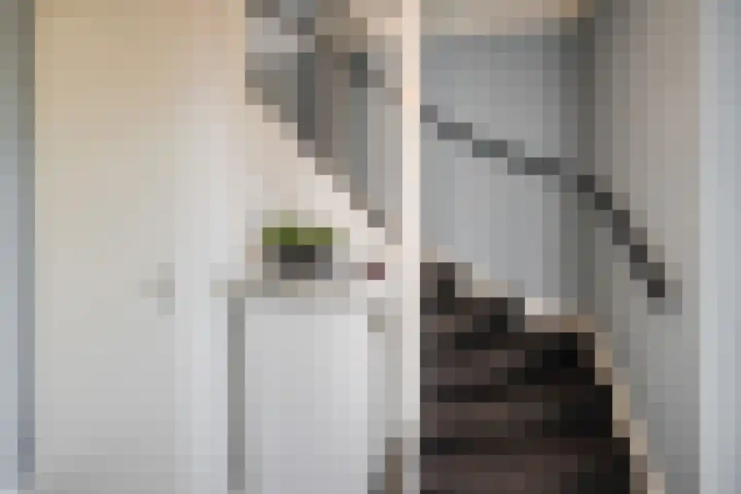 Laan van de Charleston 8 Apeldoorn thumbnail 12