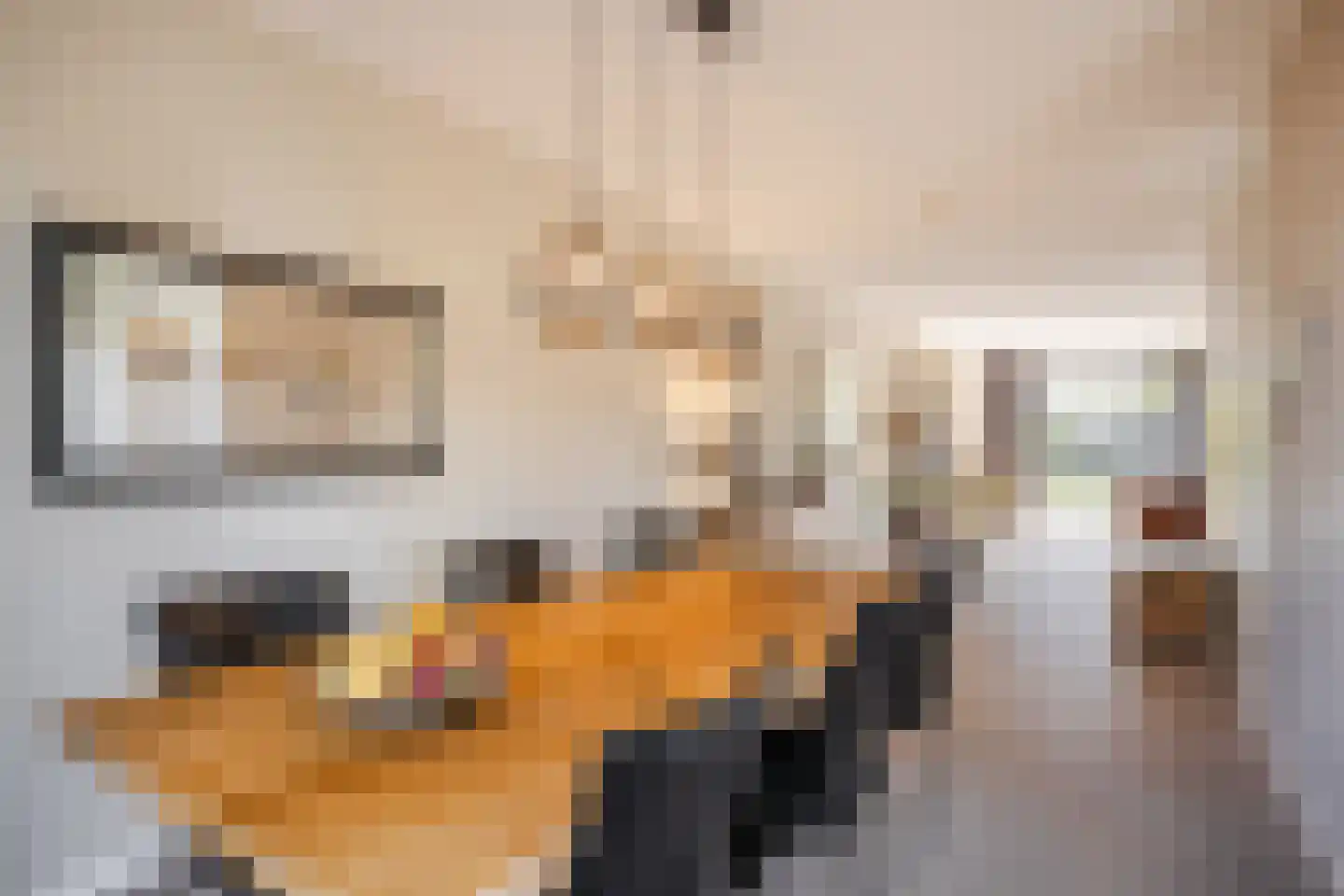 Laan van de Charleston 8 Apeldoorn thumbnail 4