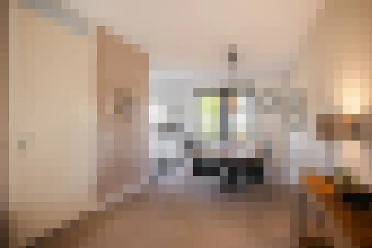 Laan van de Charleston 8 Apeldoorn thumbnail 8