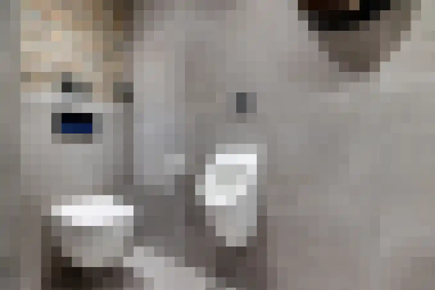Laan van de Eekharst 114 Emmen thumbnail 10