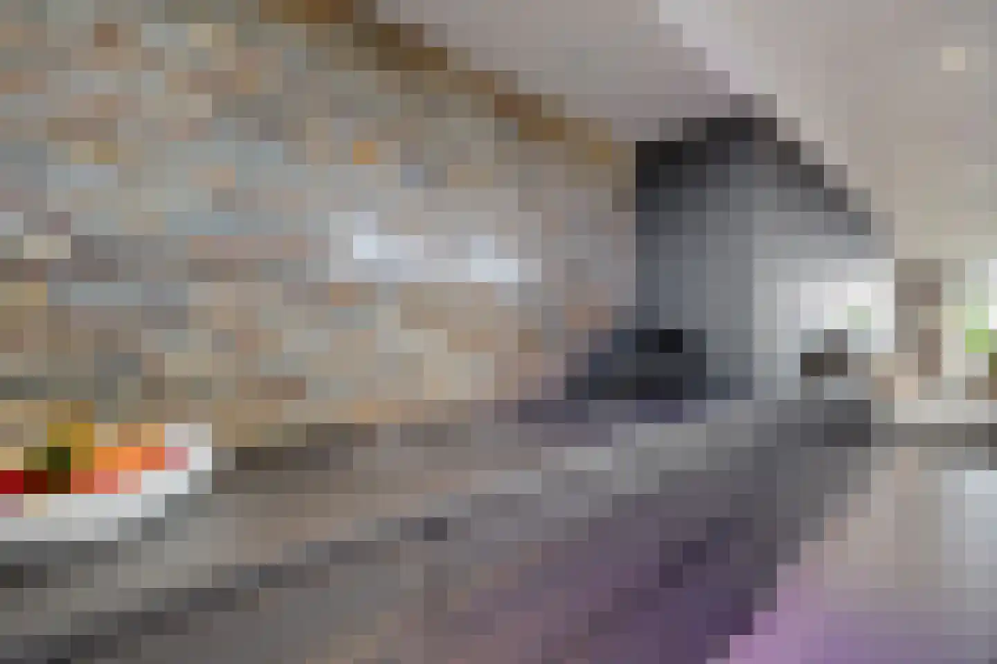 Laan van de Eekharst 114 Emmen thumbnail 14