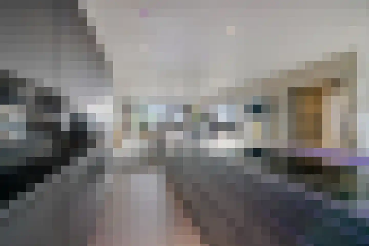 Laan van de Eekharst 114 Emmen thumbnail 15