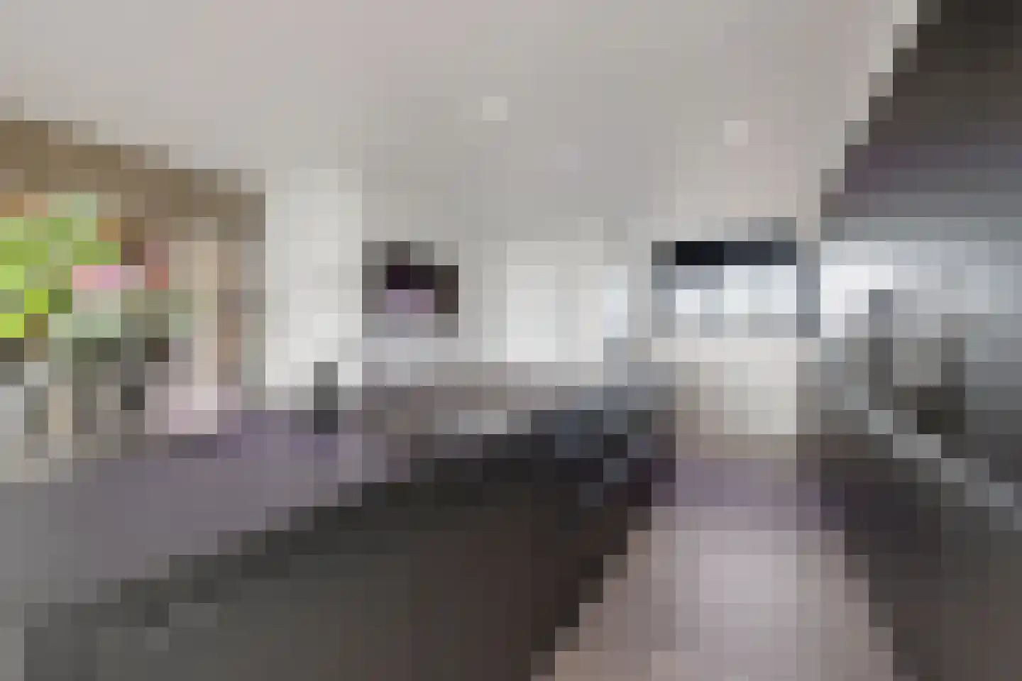 Laan van de Eekharst 114 Emmen thumbnail 16