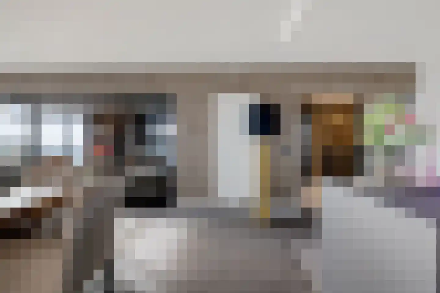 Laan van de Eekharst 114 Emmen thumbnail 17