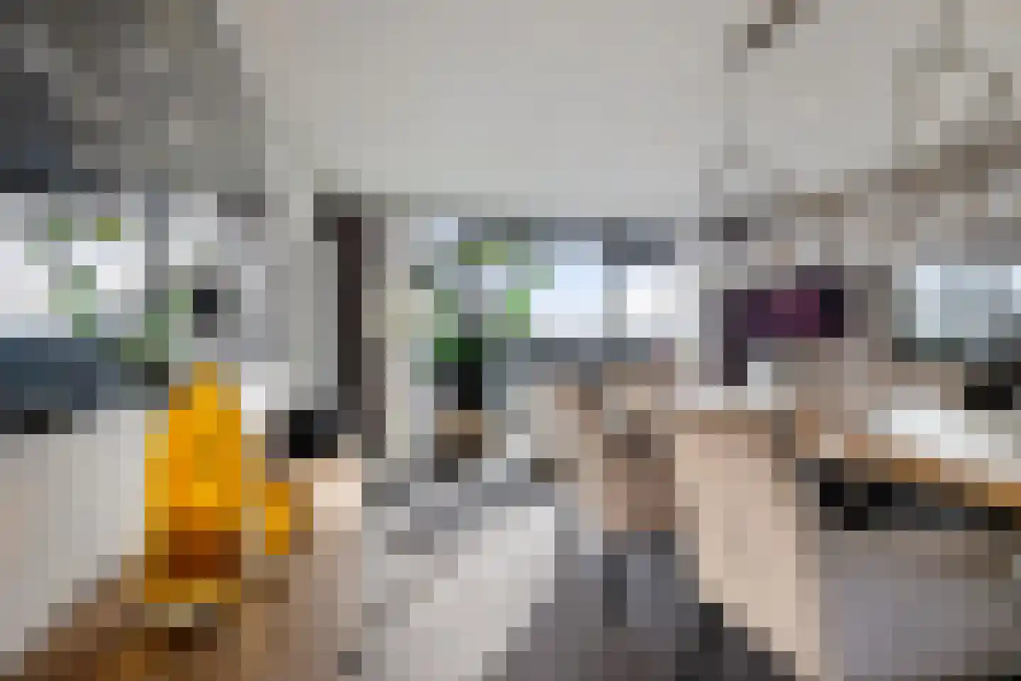 Laan van de Eekharst 114 Emmen thumbnail 18
