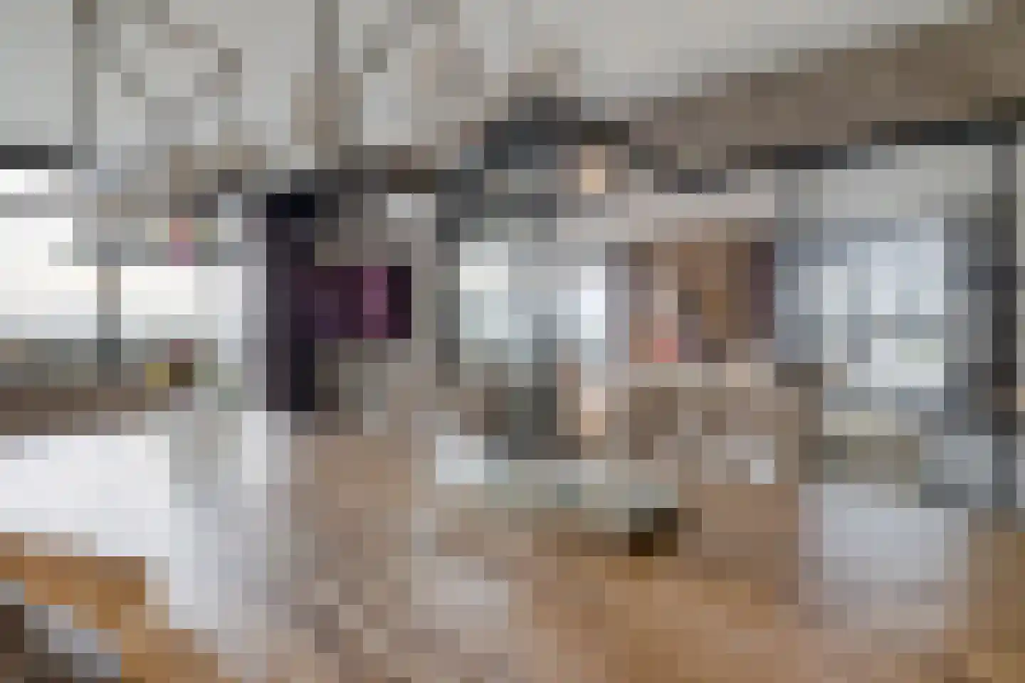 Laan van de Eekharst 114 Emmen thumbnail 19