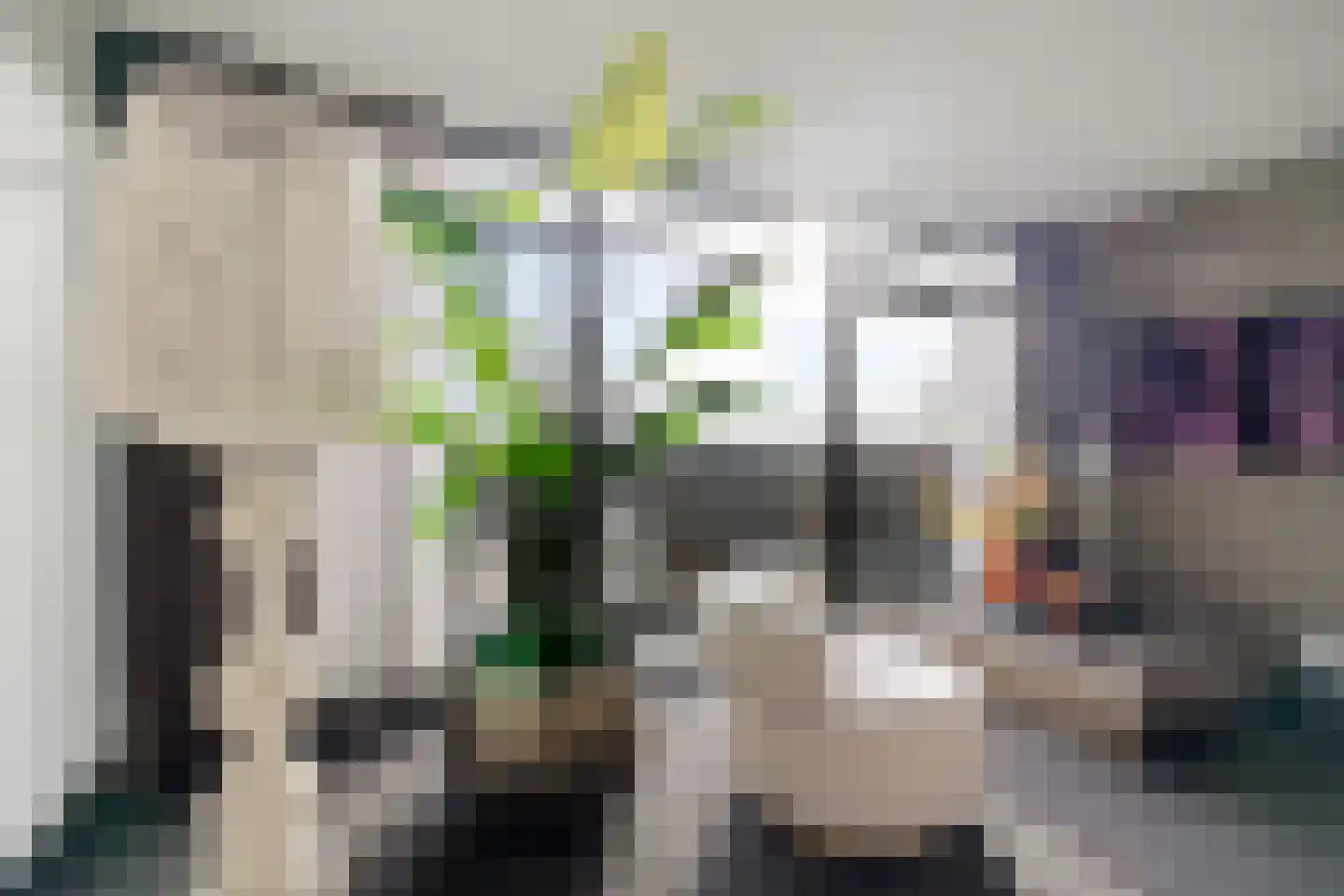 Laan van de Eekharst 114 Emmen thumbnail 20