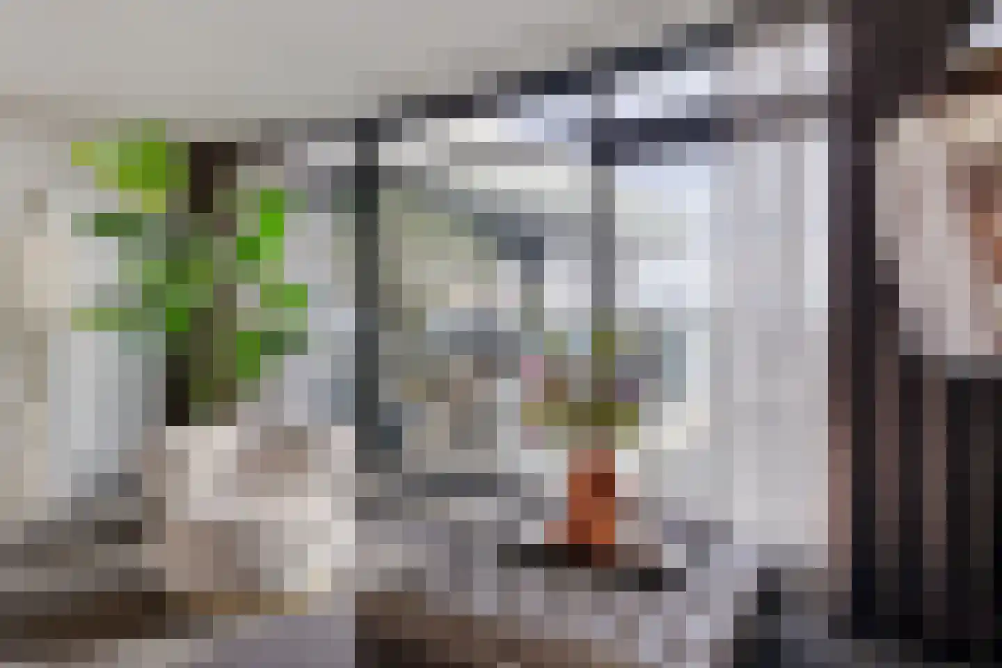 Laan van de Eekharst 114 Emmen thumbnail 21