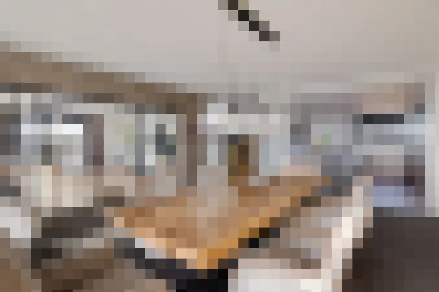 Laan van de Eekharst 114 Emmen thumbnail 22