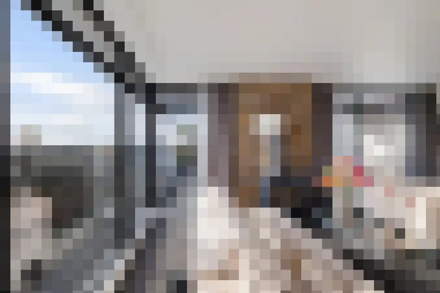 Laan van de Eekharst 114 Emmen thumbnail 25