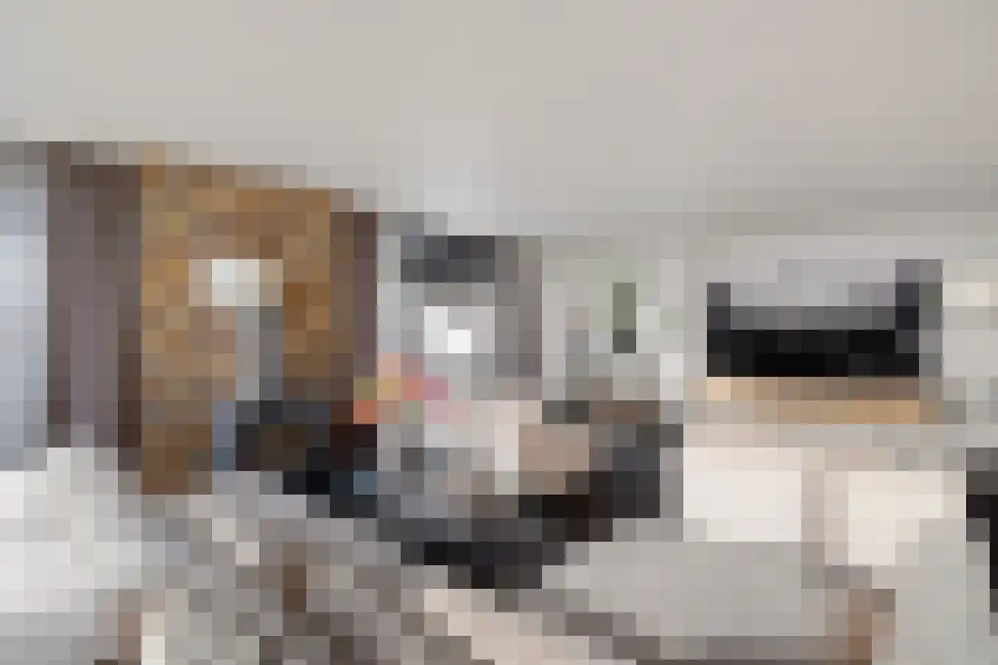 Laan van de Eekharst 114 Emmen thumbnail 26