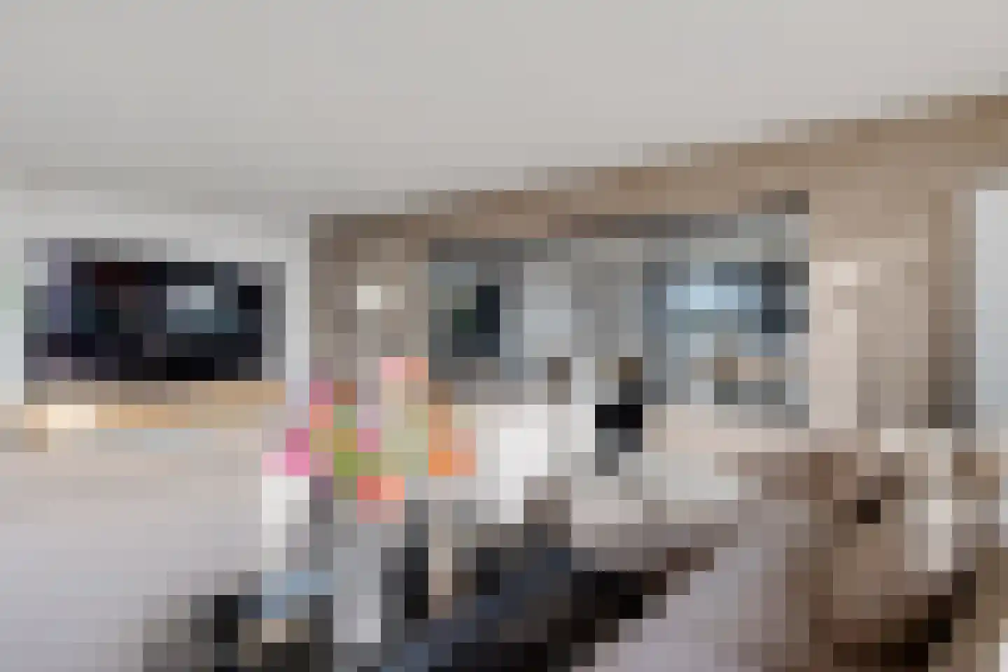 Laan van de Eekharst 114 Emmen thumbnail 27